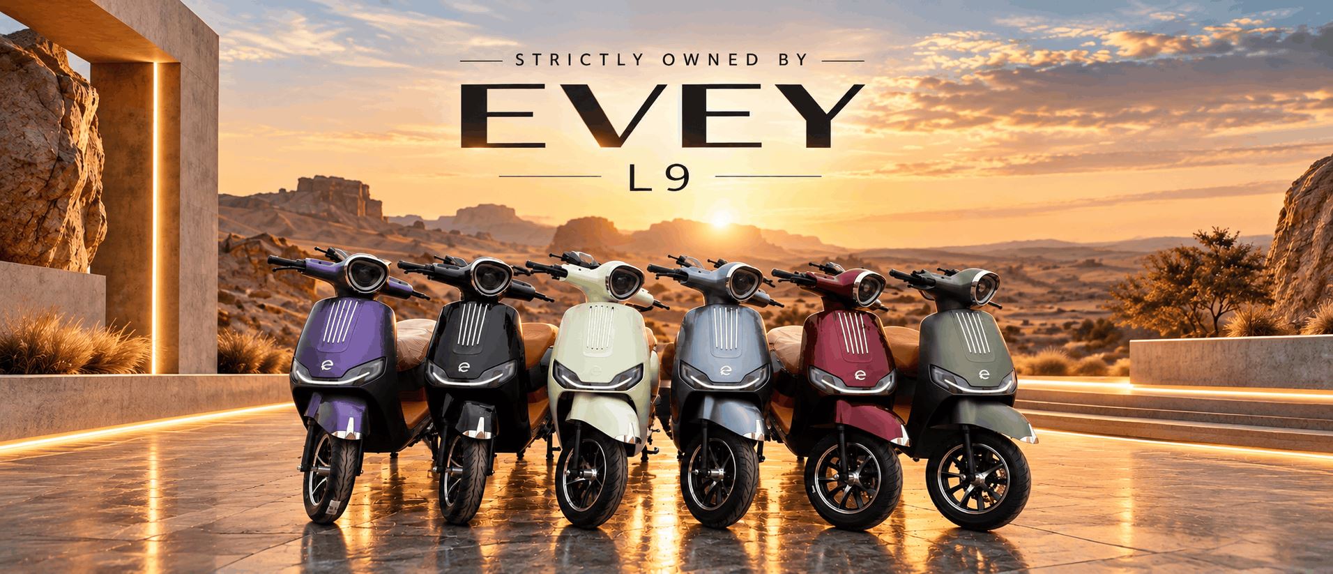 Evey Electric Bike Banner 2